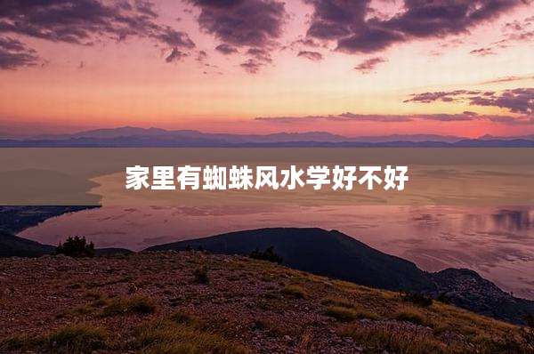 家里有蜘蛛风水学好不好