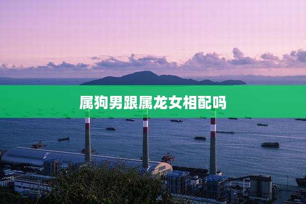 属狗男跟属龙女相配吗