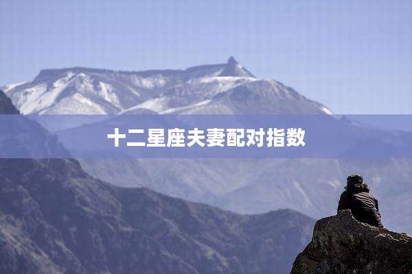 十二星座夫妻配对指数