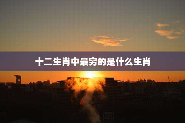 十二生肖中最穷的是什么生肖