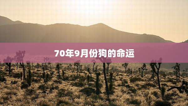 70年9月份狗的命运