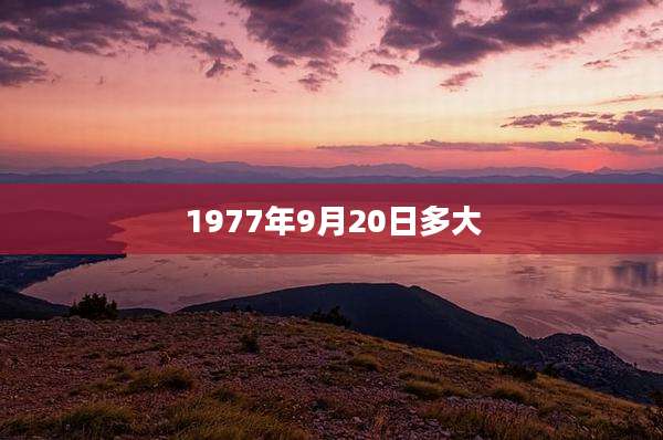 1977年9月20日多大