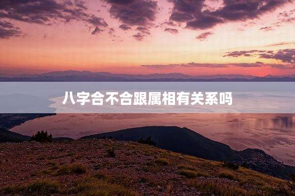 八字合不合跟属相有关系吗