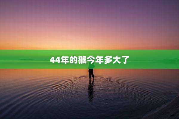 44年的猴今年多大了