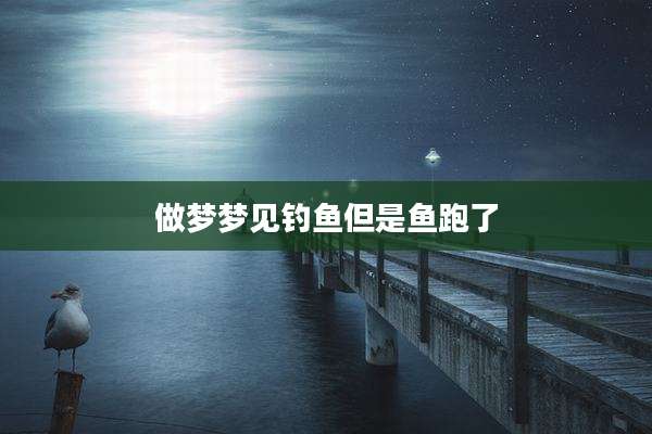 做梦梦见钓鱼但是鱼跑了