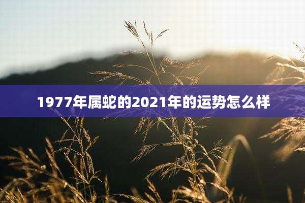 1977年属蛇的2021年的运势怎么样