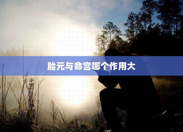 胎元与命宫哪个作用大
