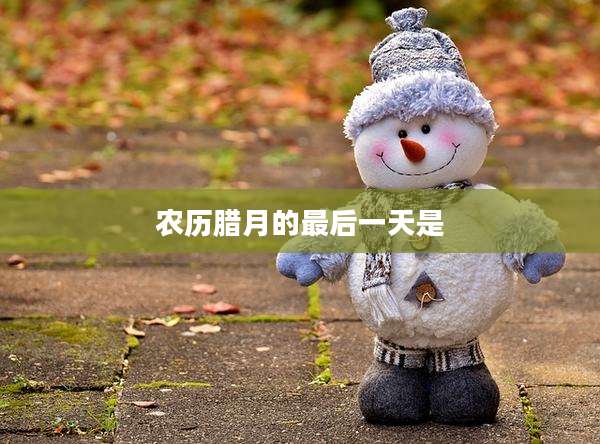 农历腊月的最后一天是