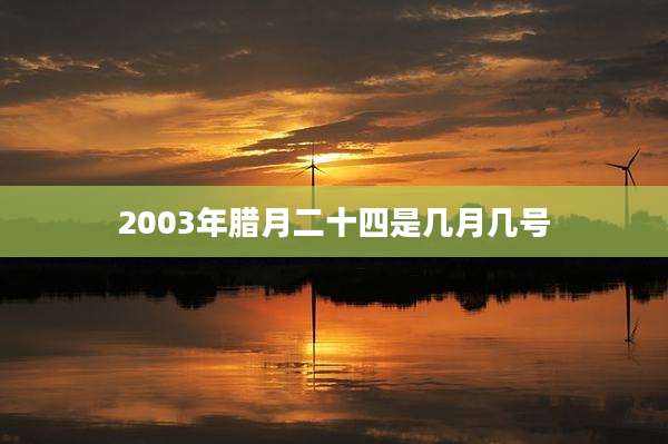 2003年腊月二十四是几月几号