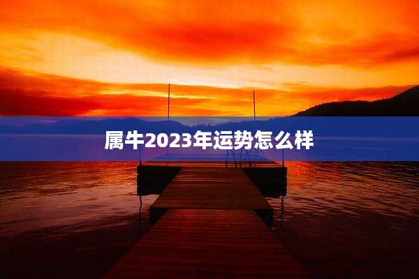 属牛2023年运势怎么样