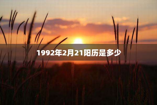 1992年2月21阳历是多少