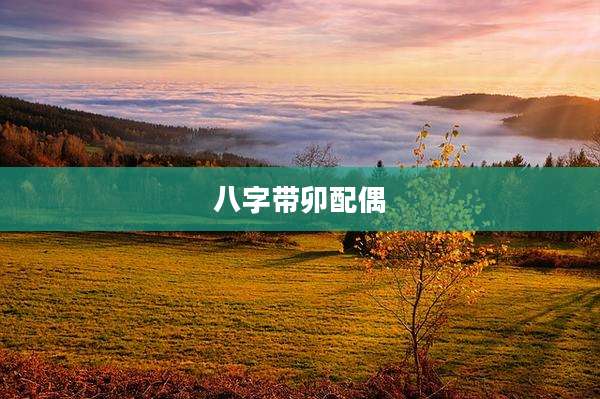 八字带卯配偶
