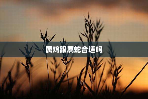属鸡跟属蛇合适吗