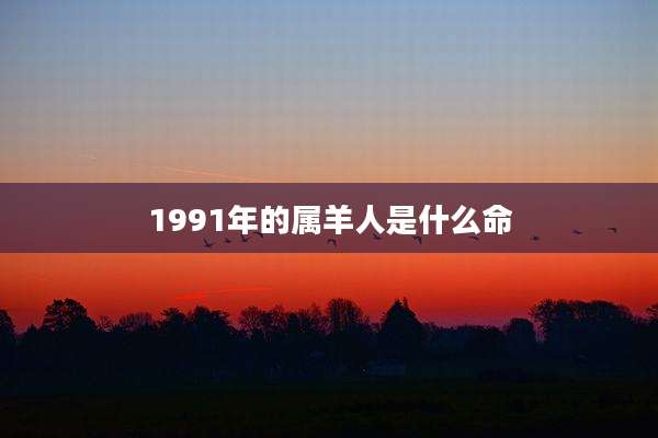 1991年的属羊人是什么命