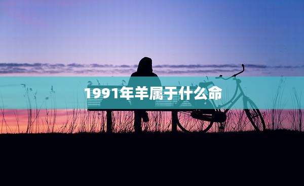 1991年羊属于什么命