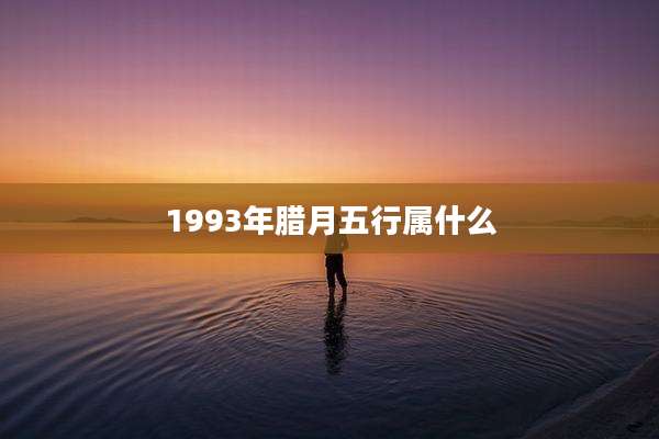 1993年腊月五行属什么