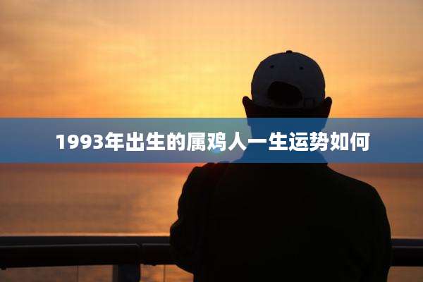 1993年出生的属鸡人一生运势如何