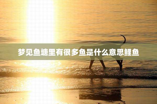 梦见鱼塘里有很多鱼是什么意思鲤鱼