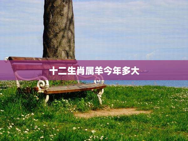 十二生肖属羊今年多大