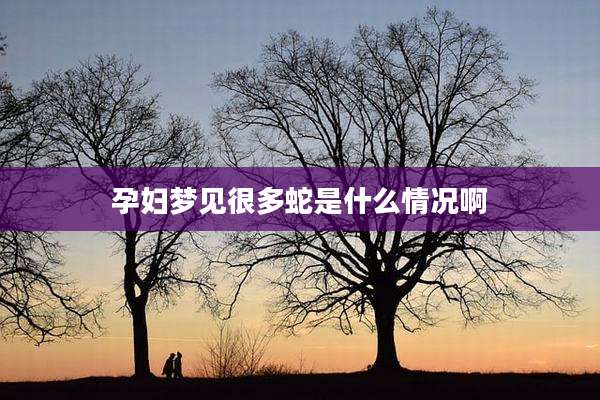 孕妇梦见很多蛇是什么情况啊