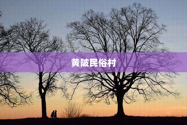 黄陂民俗村