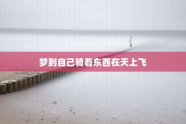 梦到自己骑着东西在天上飞