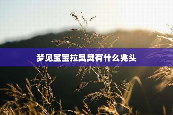梦见宝宝拉臭臭有什么兆头