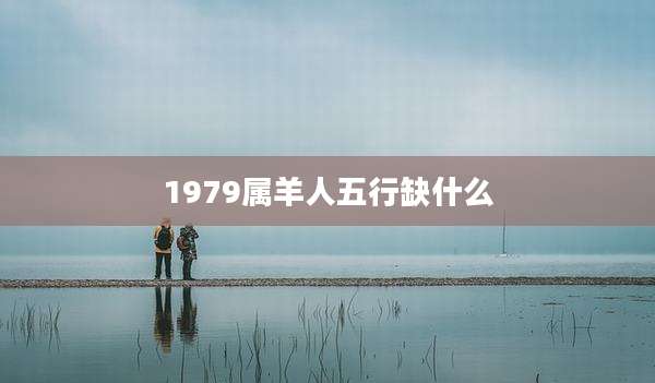 1979属羊人五行缺什么