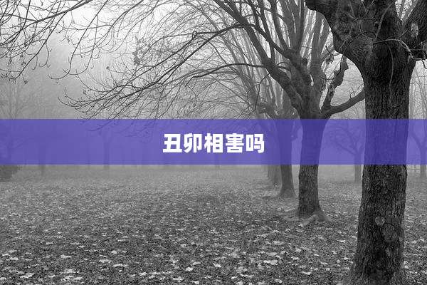 丑卯相害吗