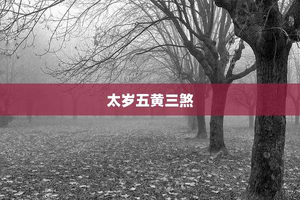 太岁五黄三煞
