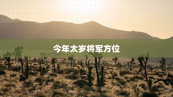 今年太岁将军方位