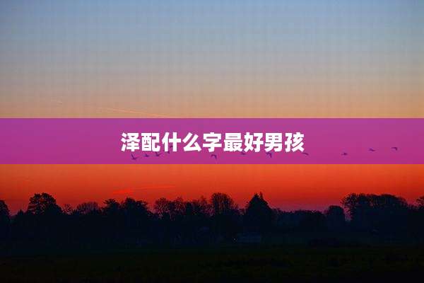 泽配什么字最好男孩