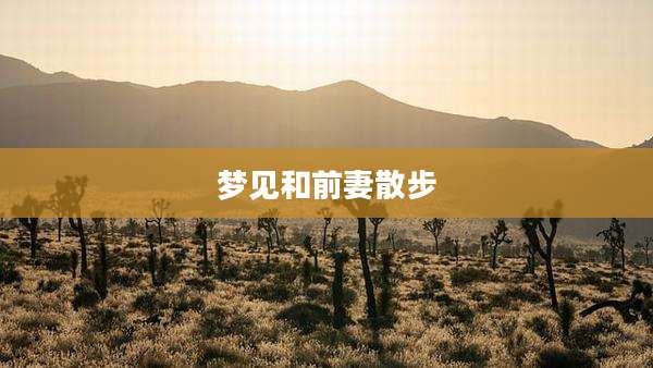梦见和前妻散步