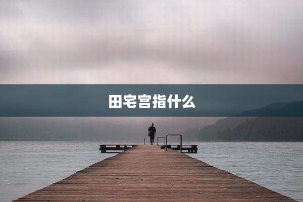 田宅宫指什么