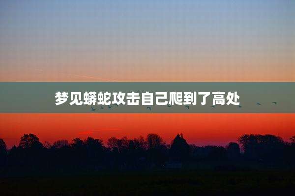 梦见蟒蛇攻击自己爬到了高处