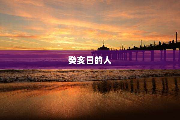 癸亥日的人