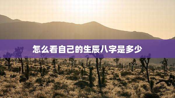 怎么看自己的生辰八字是多少