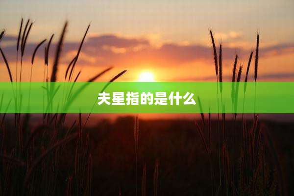 夫星指的是什么