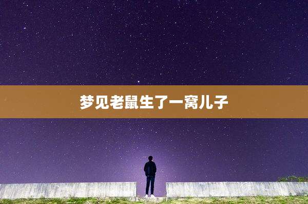 梦见老鼠生了一窝儿子