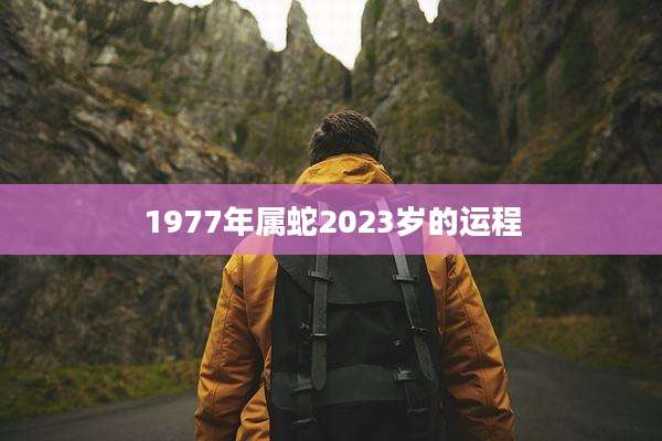 1977年属蛇2023岁的运程