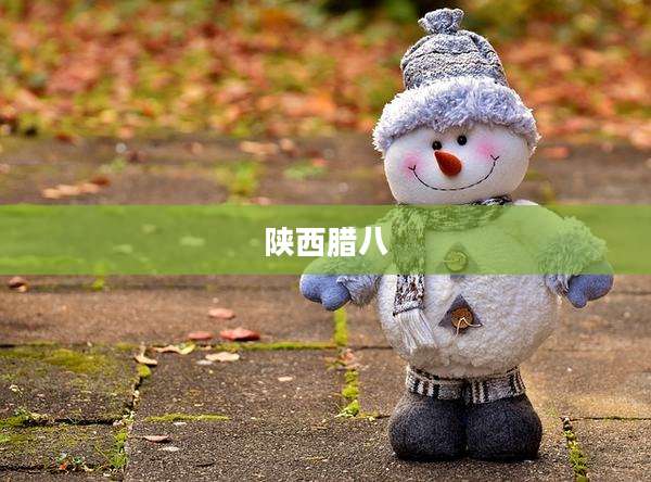 陕西腊八