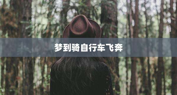 梦到骑自行车飞奔