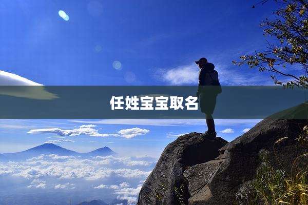 任姓宝宝取名