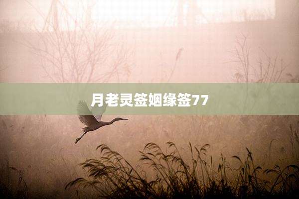 月老灵签姻缘签77
