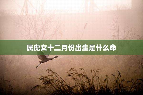 属虎女十二月份出生是什么命