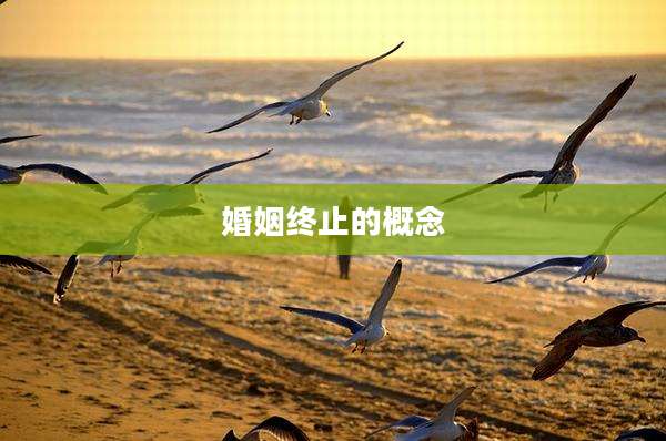 婚姻终止的概念