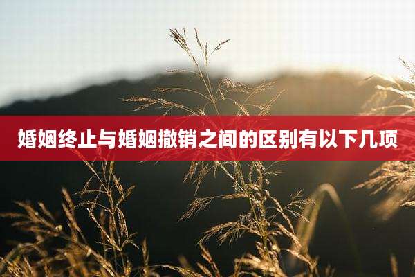 婚姻终止与婚姻撤销之间的区别有以下几项