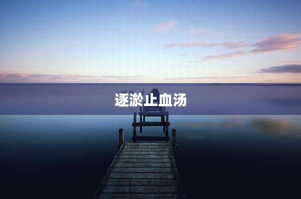 逐淤止血汤