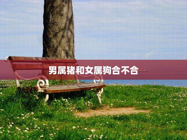 男属猪和女属狗合不合
