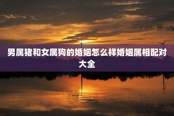 男属猪和女属狗的婚姻怎么样婚姻属相配对大全